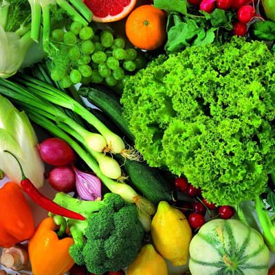 Catherine Bertrand - Health Coach